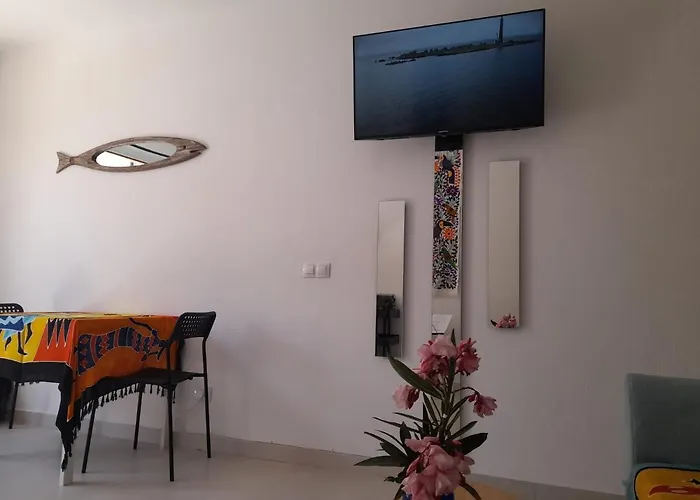 Apartament New Center Of 100m By Beaches *