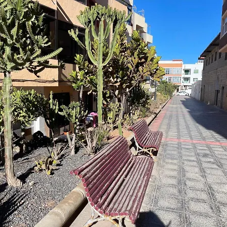 New Center Of 100m By Beaches * Corralejo