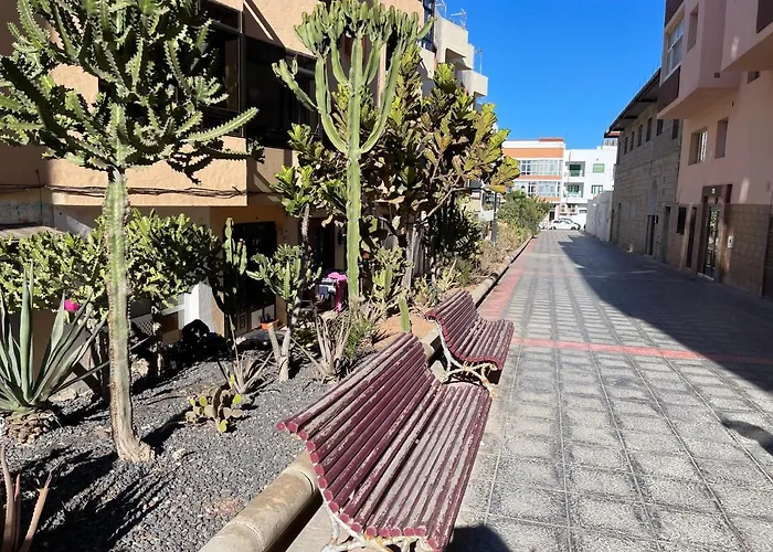 New Center Of 100m By Beaches * 코라레호